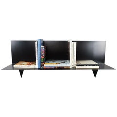 Metal BG Record Shelf by Tenon Design