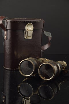 Metal Binoculars with Case, 20th Century