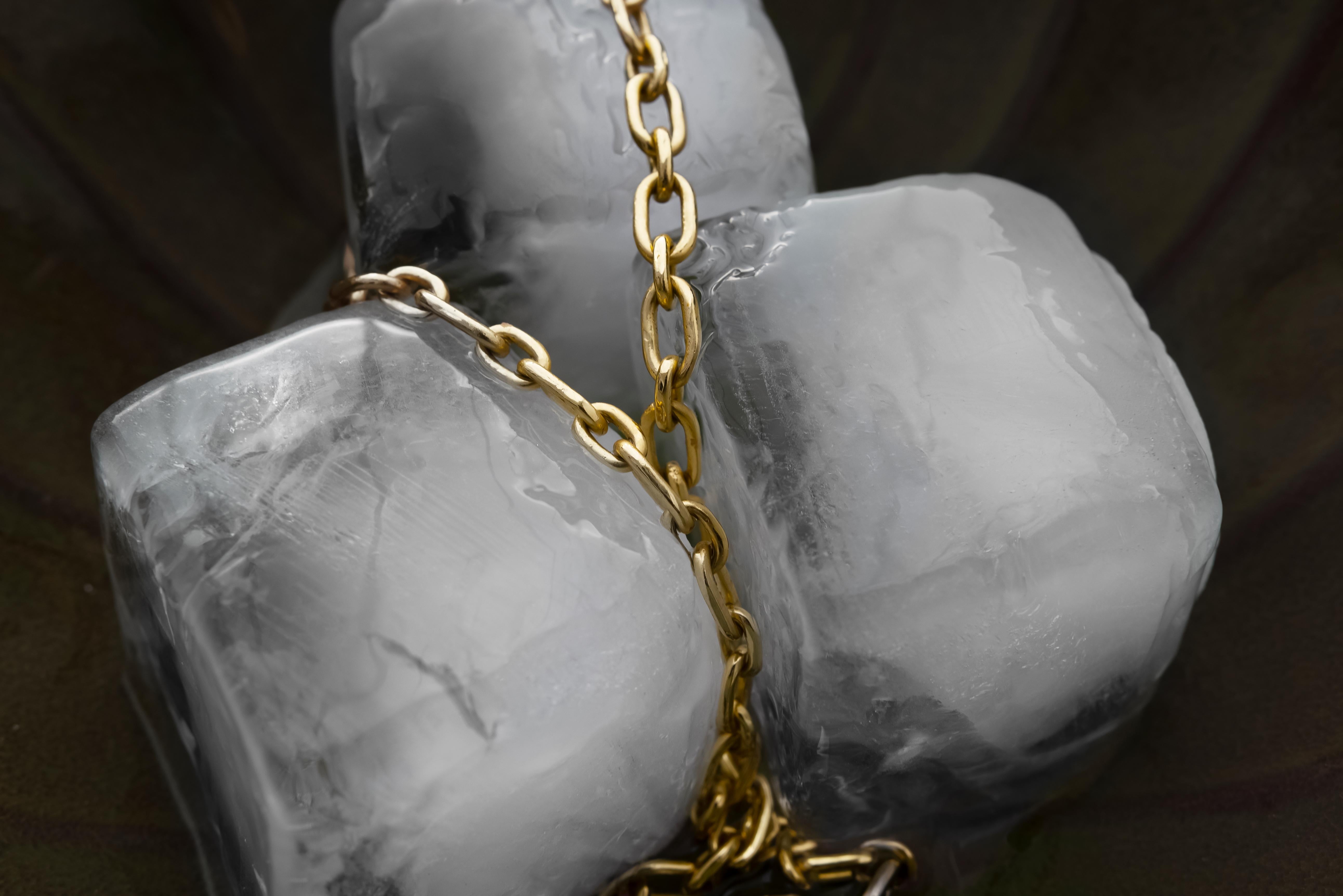 Moderne Collier 'Bold Lynx Diamond Necklace' en or 18kt avec 0.10ct de diamant. en vente
