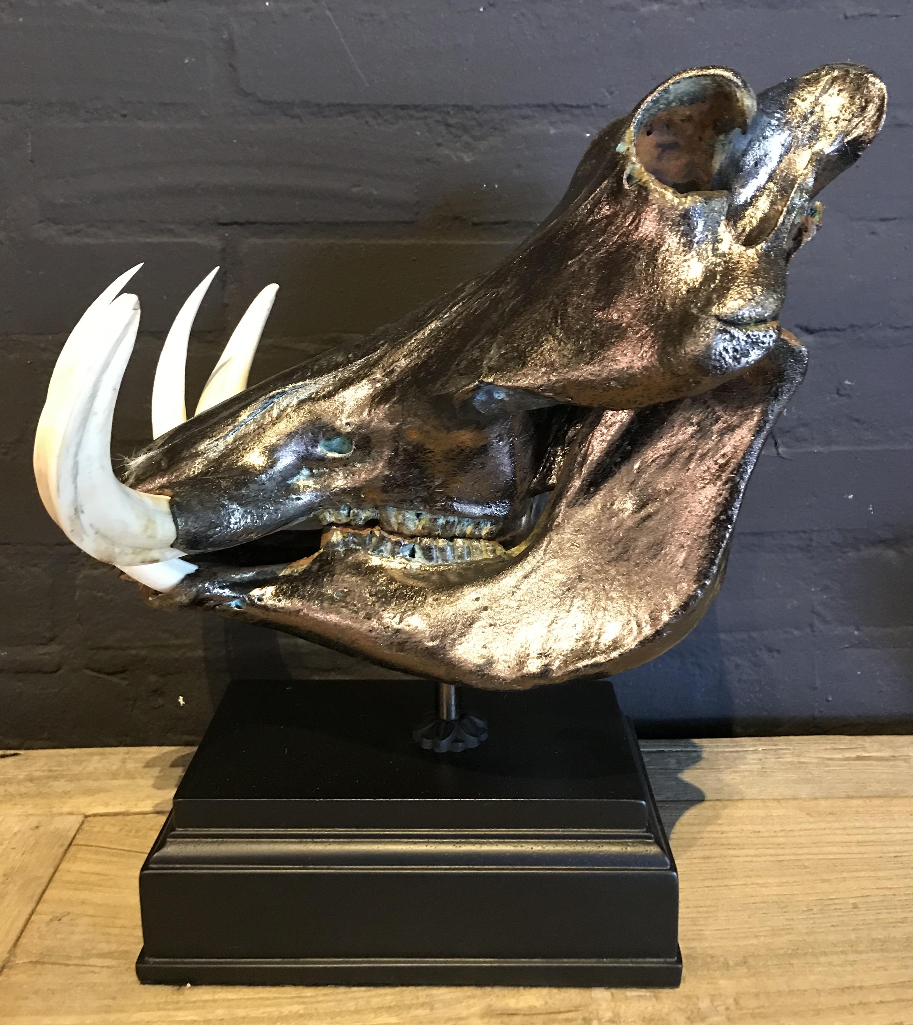 Metalized skull of a warthog. The skull is provided with a real metal layer which has been corroded making it a beautiful patina.
The skull is mounted on a high quality pedestal.