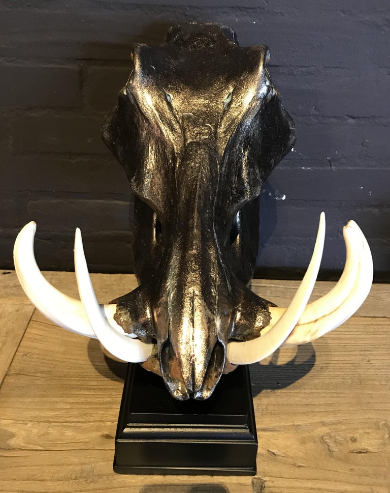 Metalized Skull of a Warthog For Sale at 1stDibs