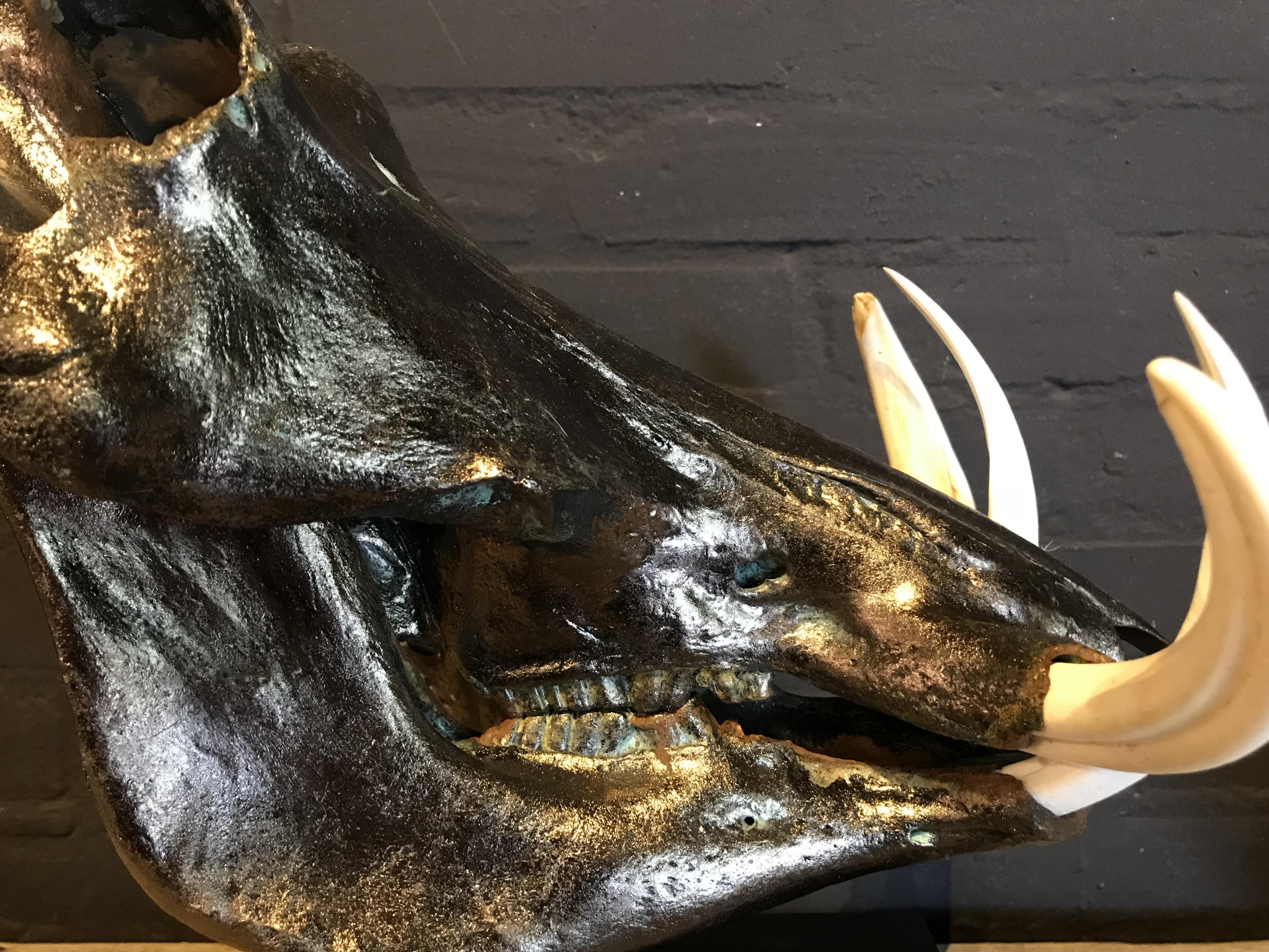 Metalized Skull of a Warthog In Excellent Condition For Sale In Eindhoven, NL