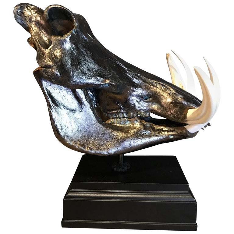 Metalized Skull of a Warthog For Sale at 1stDibs