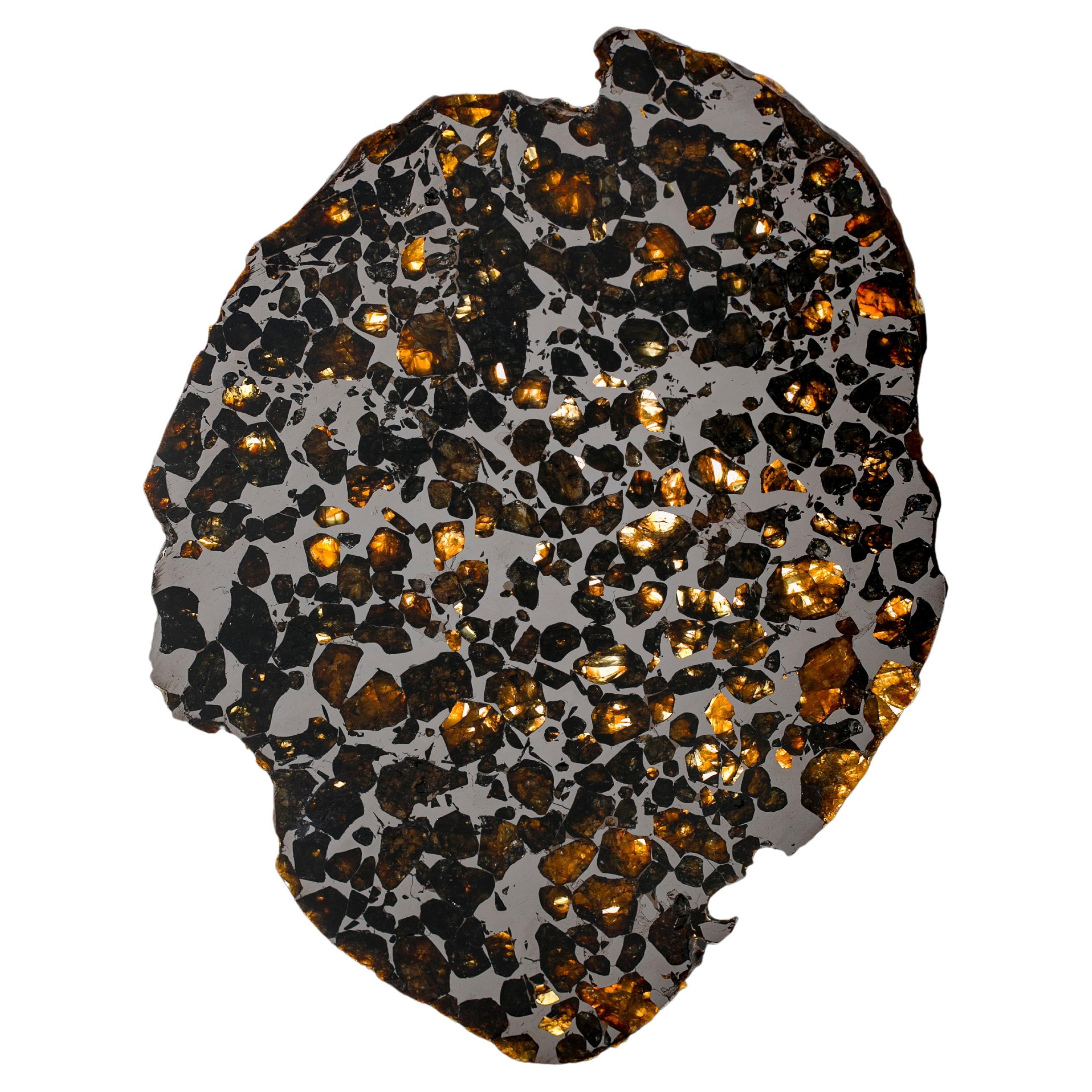 Météorite métallique var. Spécimen minéral de pallasite, district de Magadan, Russie en vente