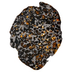 Météorite métallique var. Spécimen minéral de pallasite, district de Magadan, Russie
