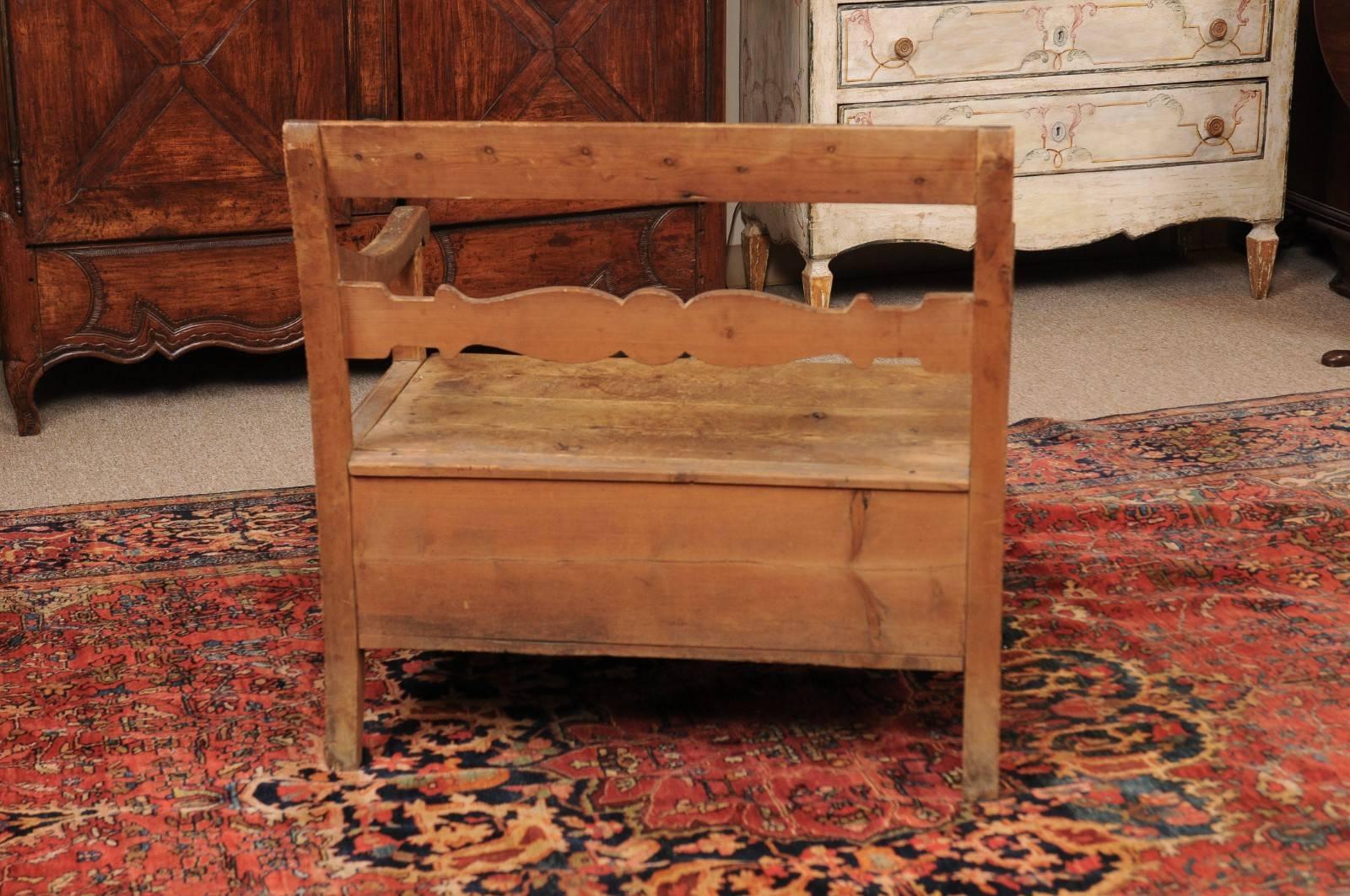 Metamorphic 19th Century Swedish Pine Bench 5