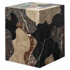 Metamorphic Side Table by Alexander Lotersztain