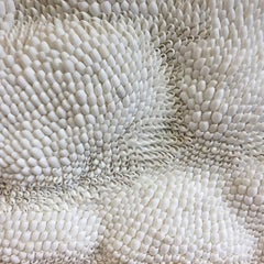 METAMORPHOSE, Sea shells wall sculpture shaped as a cloud by OAK Studio, 2016