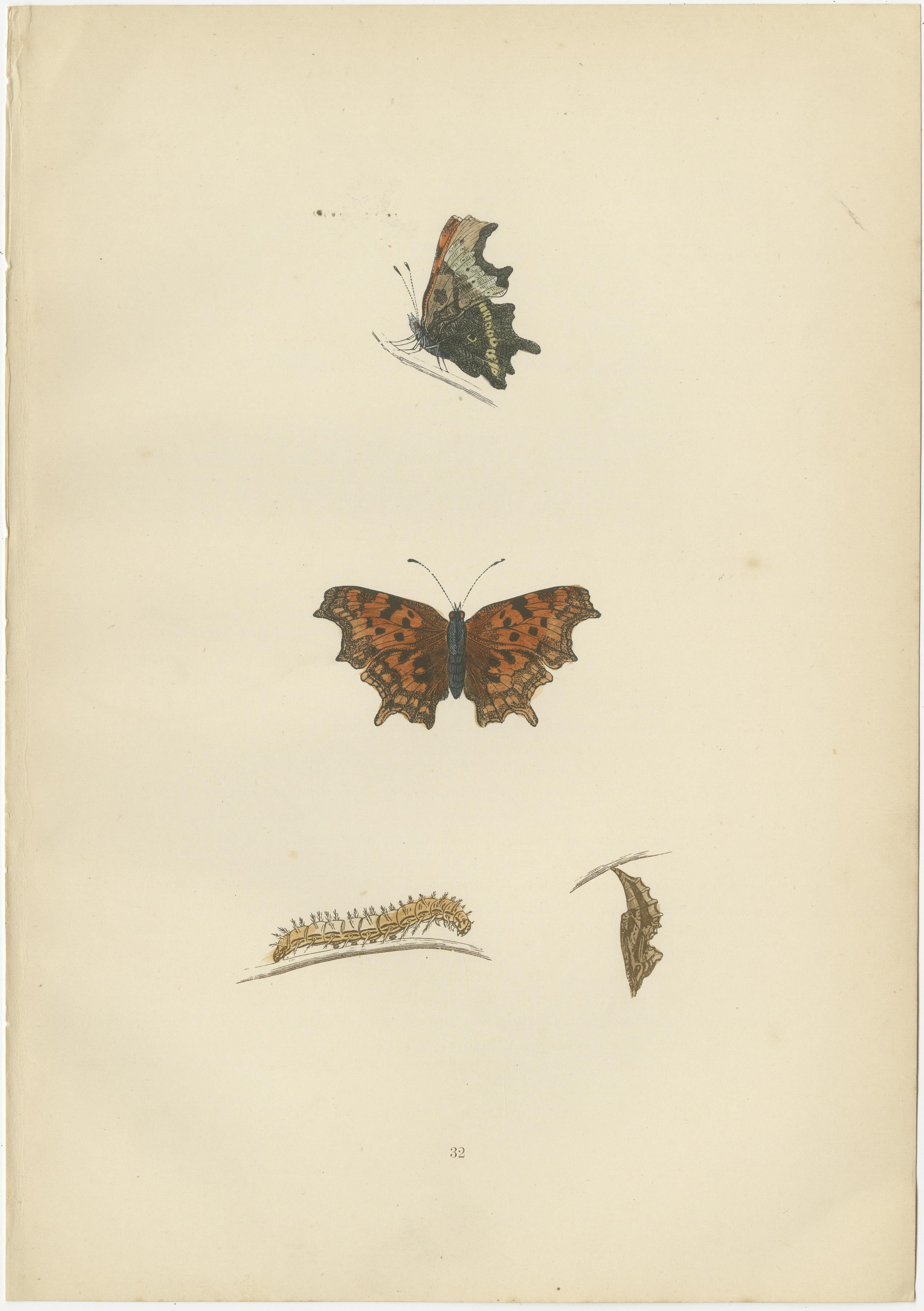 Metamorphosis in Motion: A Triptych of Butterfly Life Stages, 1890 In Good Condition For Sale In Langweer, NL