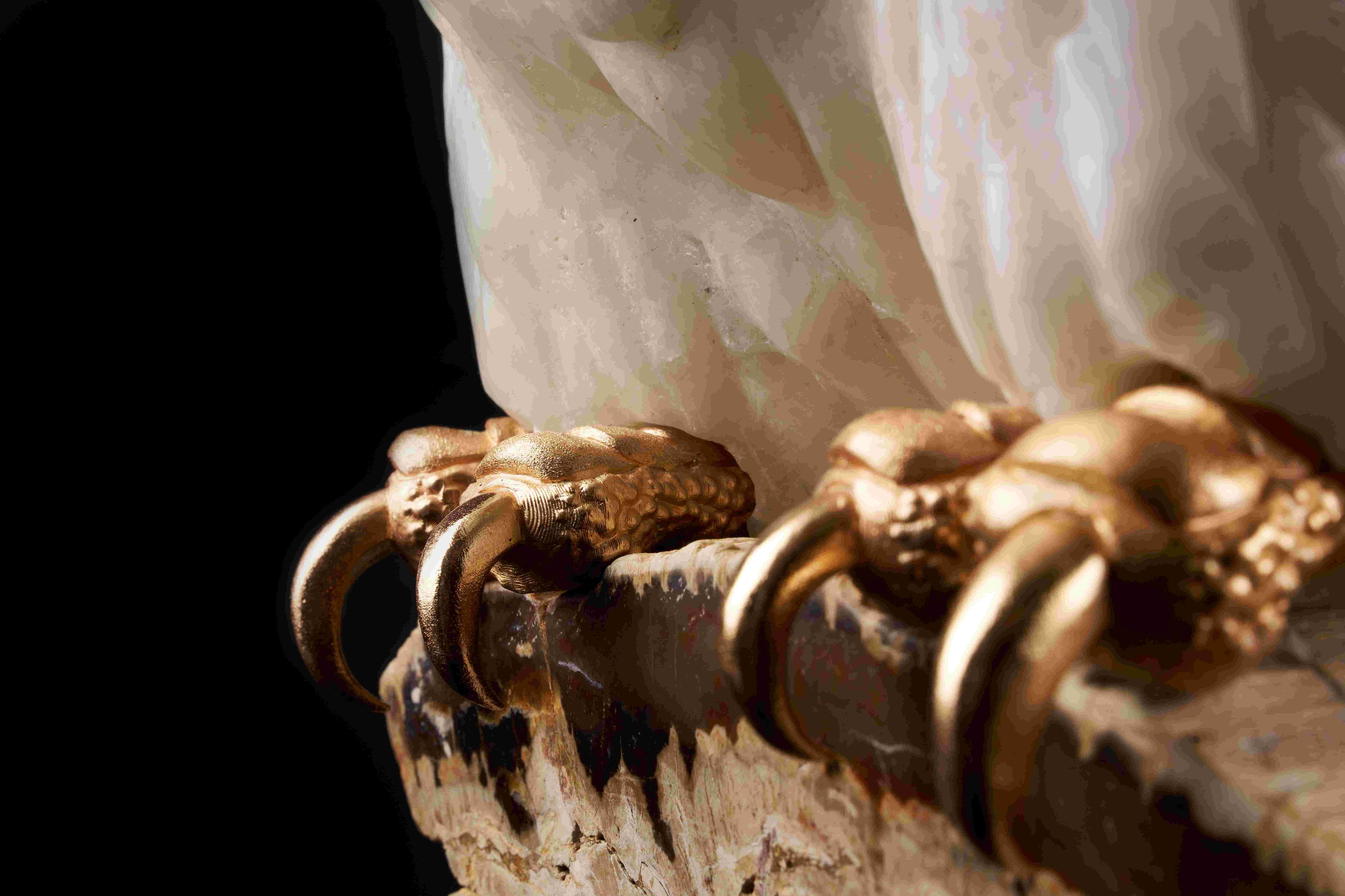 Gufo della Metamorfosi