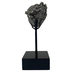 Meteorite, Campo Del Cielo Space Rock