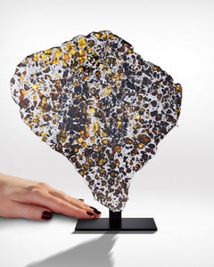 Meteorite Cross Section with Amber-Coloured Peridot Gems and Metal Matrix
