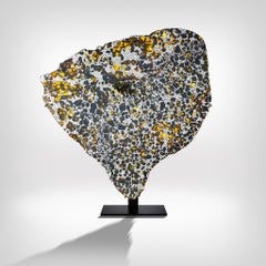 Sezione trasversale di meteorite con metallo cristallino e olivina arancione traslucida G