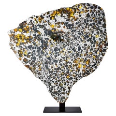 Sezione trasversale di meteorite con metallo cristallino e olivina arancione traslucida G