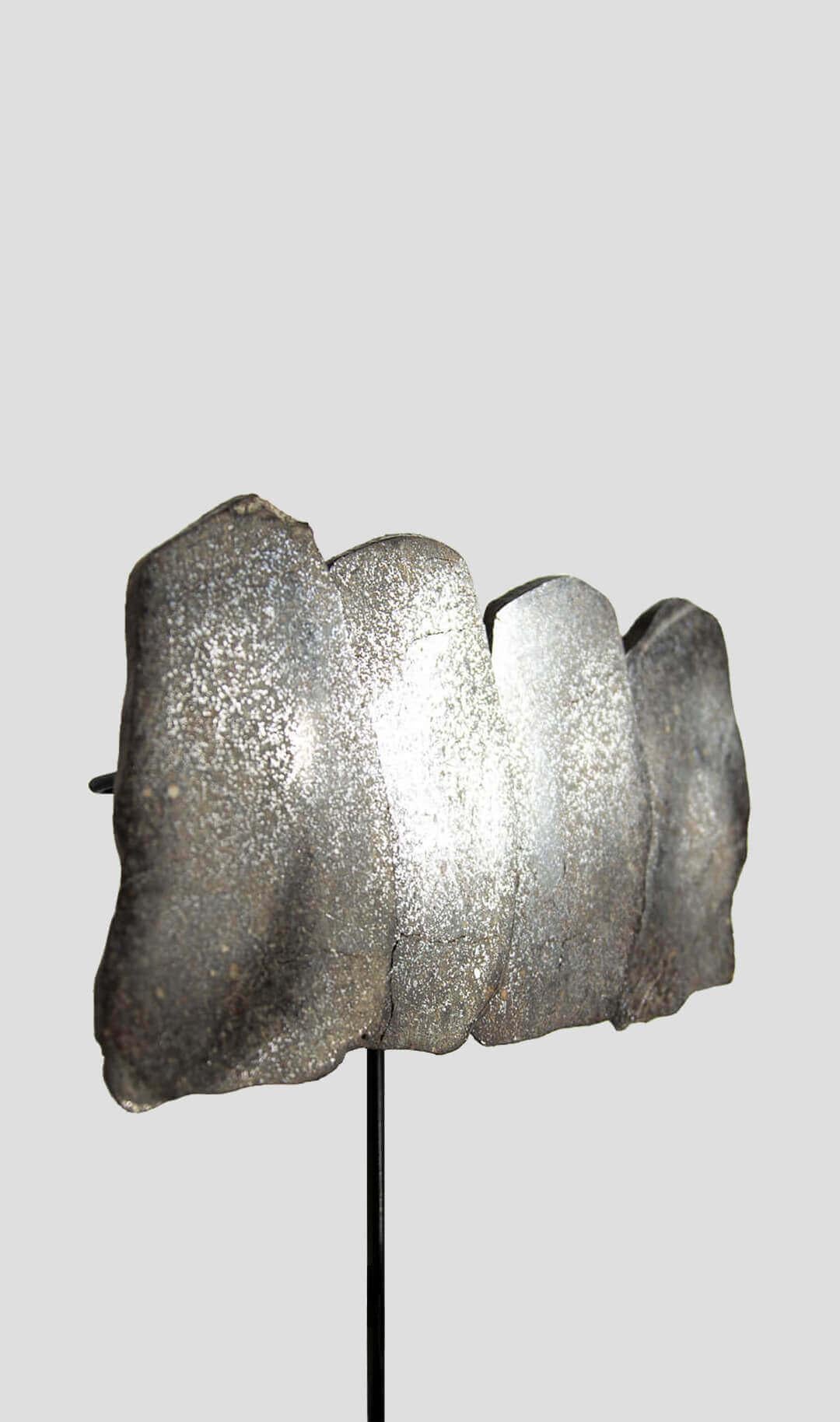 North African Meteorite Exploded View with detachable Surmounted Bronze Stand For Sale
