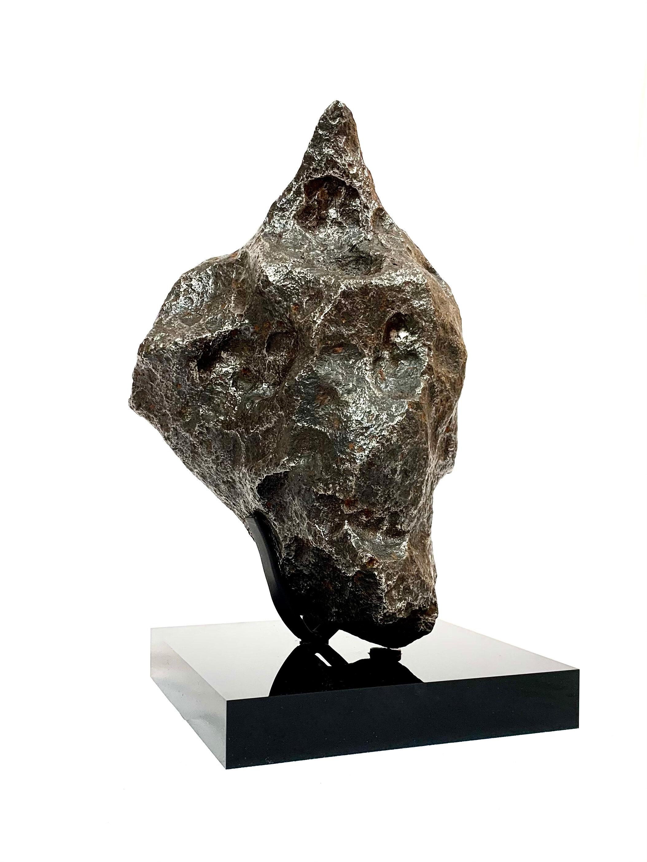 Iron meteorite. Campo del Cielo, Argentina. Circa 4.5 billion years old. Sold with bespoke acrylic display stand

Natural History. From rare dinosaur skulls and Stone Age tools to the world’s earliest animals that date back millions of years, the