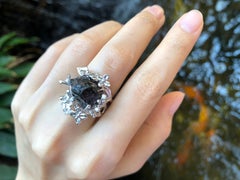 Meteorite with Diamond Ring Set in 18 Karat White Gold Settings