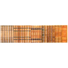Meter of Early 20th Century Leather Bound Books, Series 54