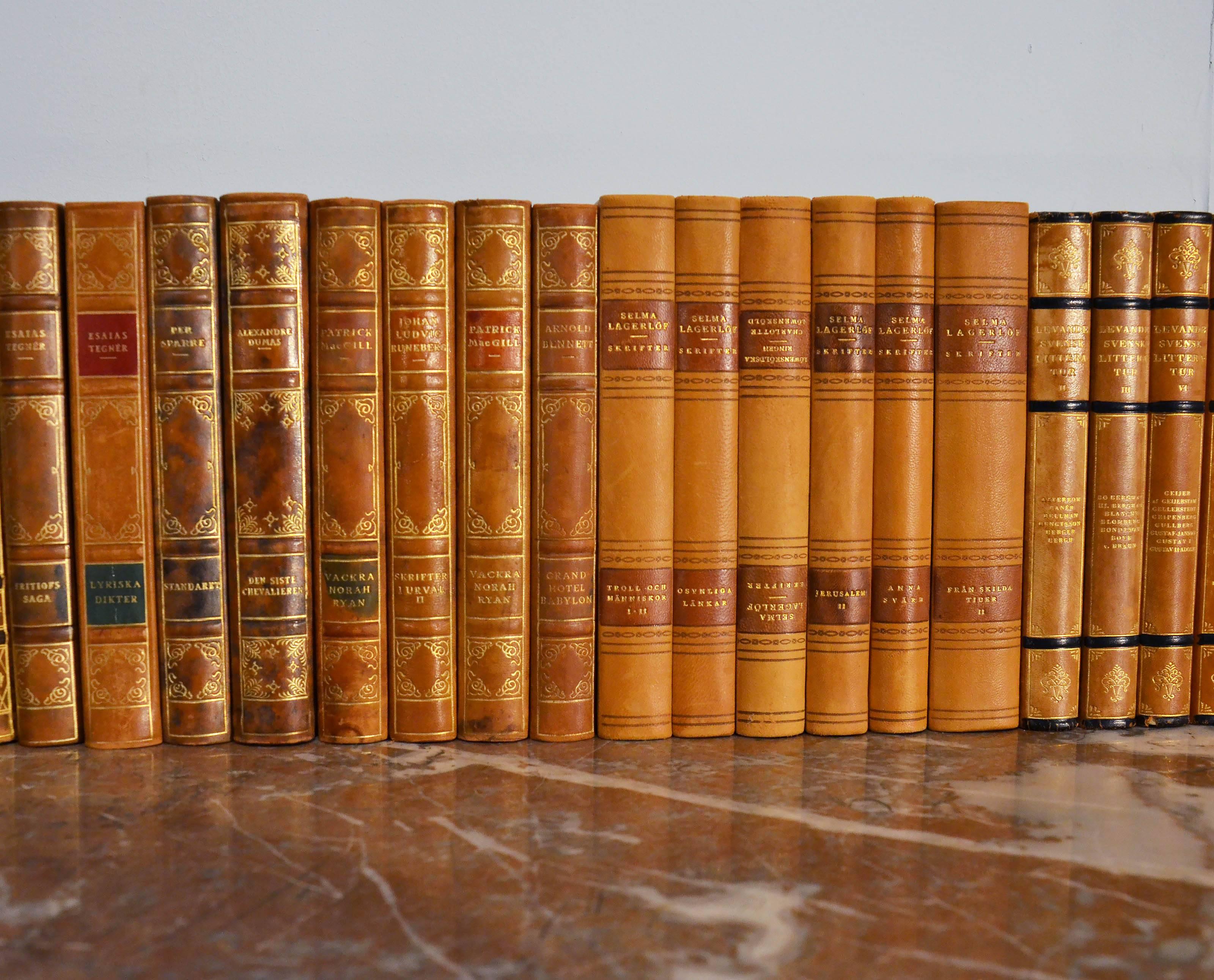 Meter of Early 20th Century Leather Bound Books, Series 102 In Good Condition In London, GB