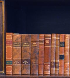 Meter of Early 20th Century Leather Bound Books, Series 52