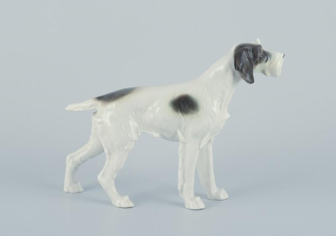 Metzler & Ortloff, German porcelain figurine of an English Pointer.
Mid-20th century.
Perfect condition.
Stamped 