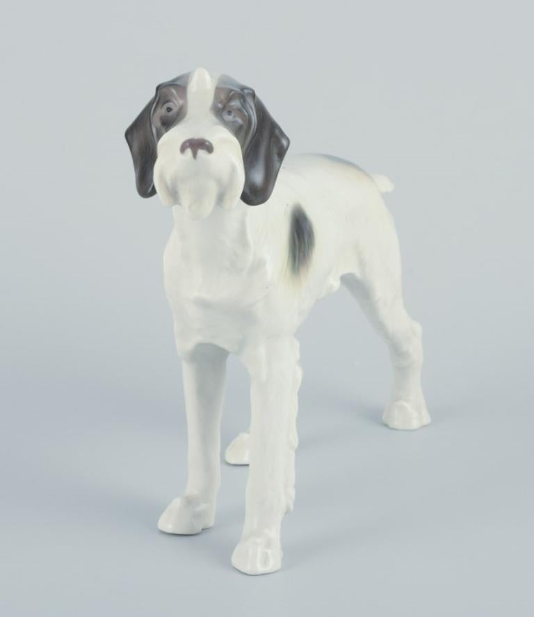 Metzler & Ortloff, Germany.  Porcelain figurine of an English Pointer. For Sale 1