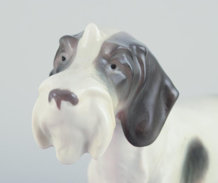 Metzler & Ortloff, Germany.  Porcelain figurine of an English Pointer. For Sale 2