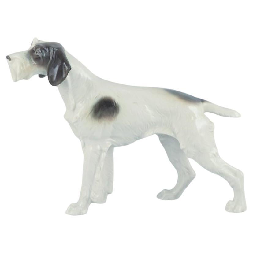 Metzler & Ortloff, Germany.  Porcelain figurine of an English Pointer. For Sale