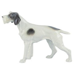 Metzler & Ortloff, Germany.  Porcelain figurine of an English Pointer.