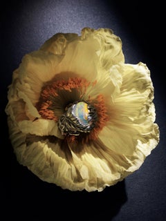 Mexican Fire Opal Ivy ring in patinated silver Statement ring