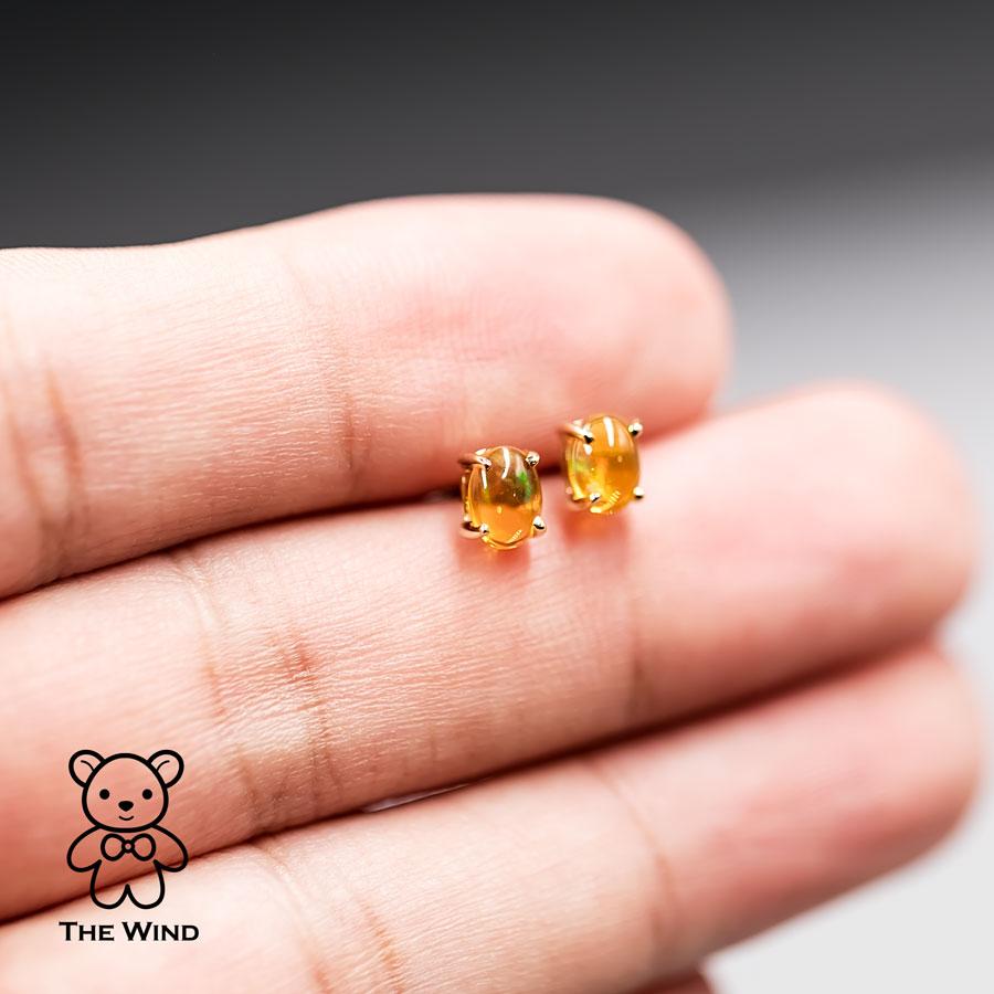 Minimalist Mexican Fire Opal Stud Earrings in 14K Yellow Gold.


Free Domestic USPS First Class Shipping!  Free One Year Limited Warranty!  Free Gift Bag or Box with every order!



Opal—the queen of gemstones, is one of the most beautiful and