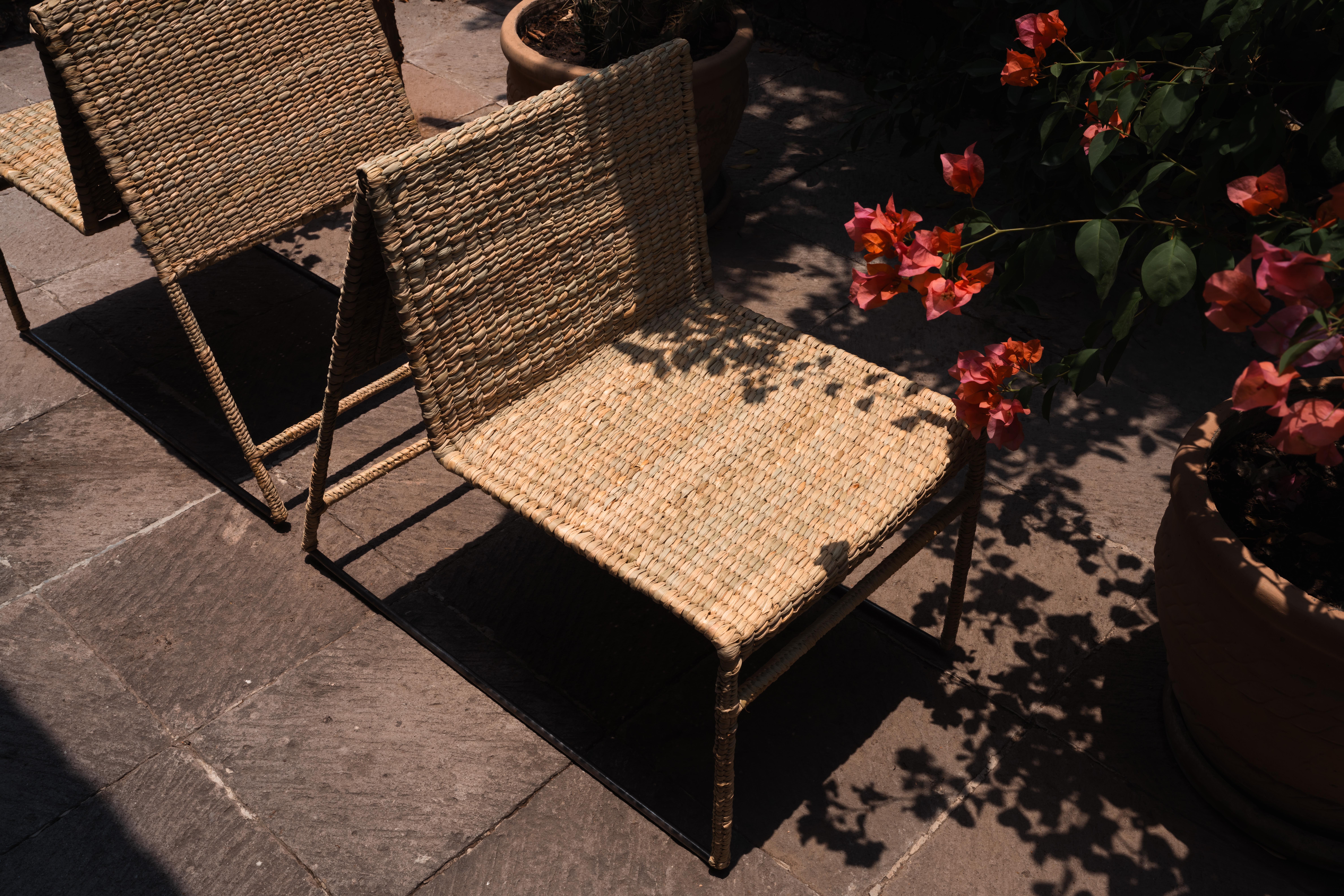 Organic Modern Mexican Handcrafted Chuspata Palm Fiber Lounge Chair Craftsmanship Reed For Sale