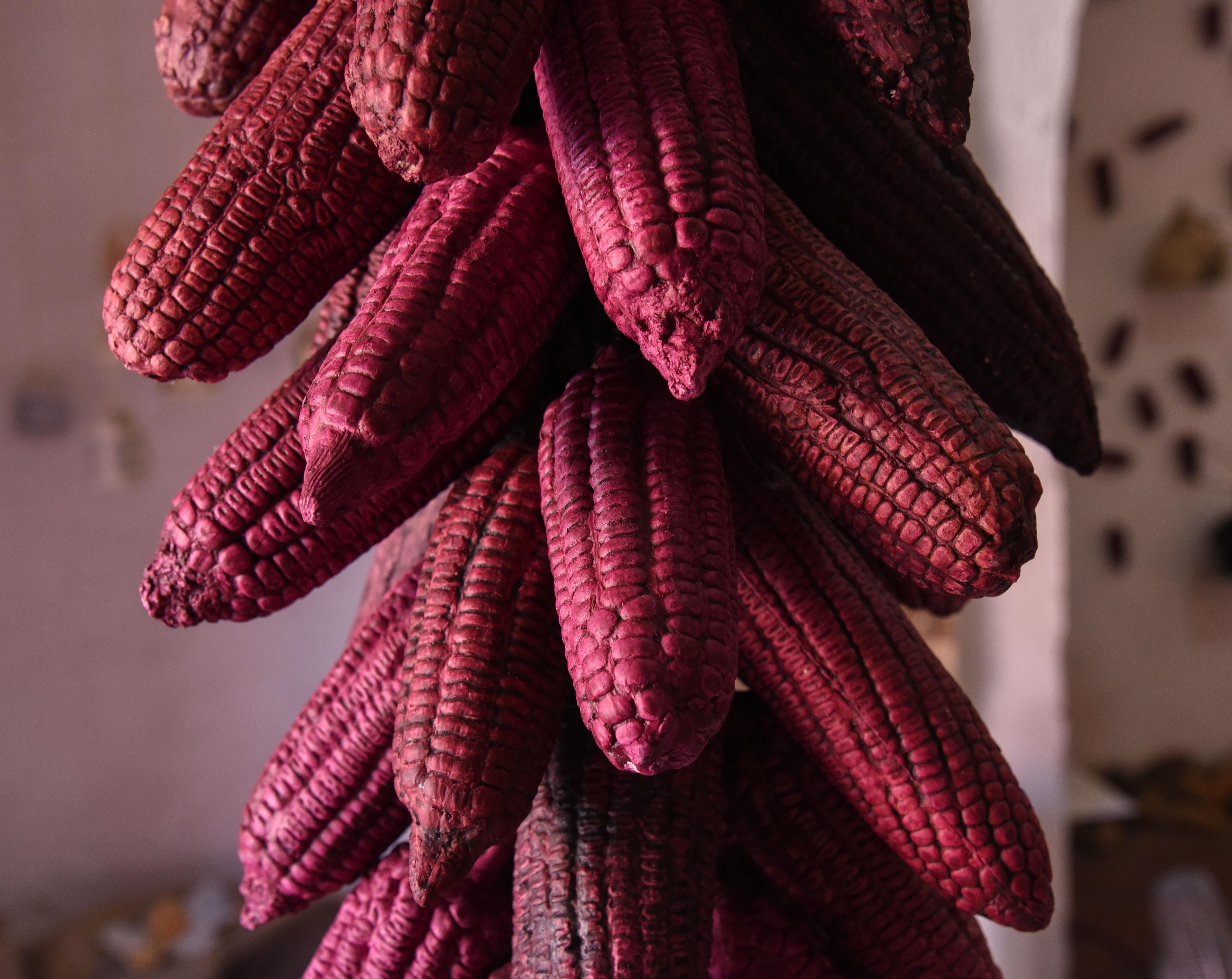 hanging corn