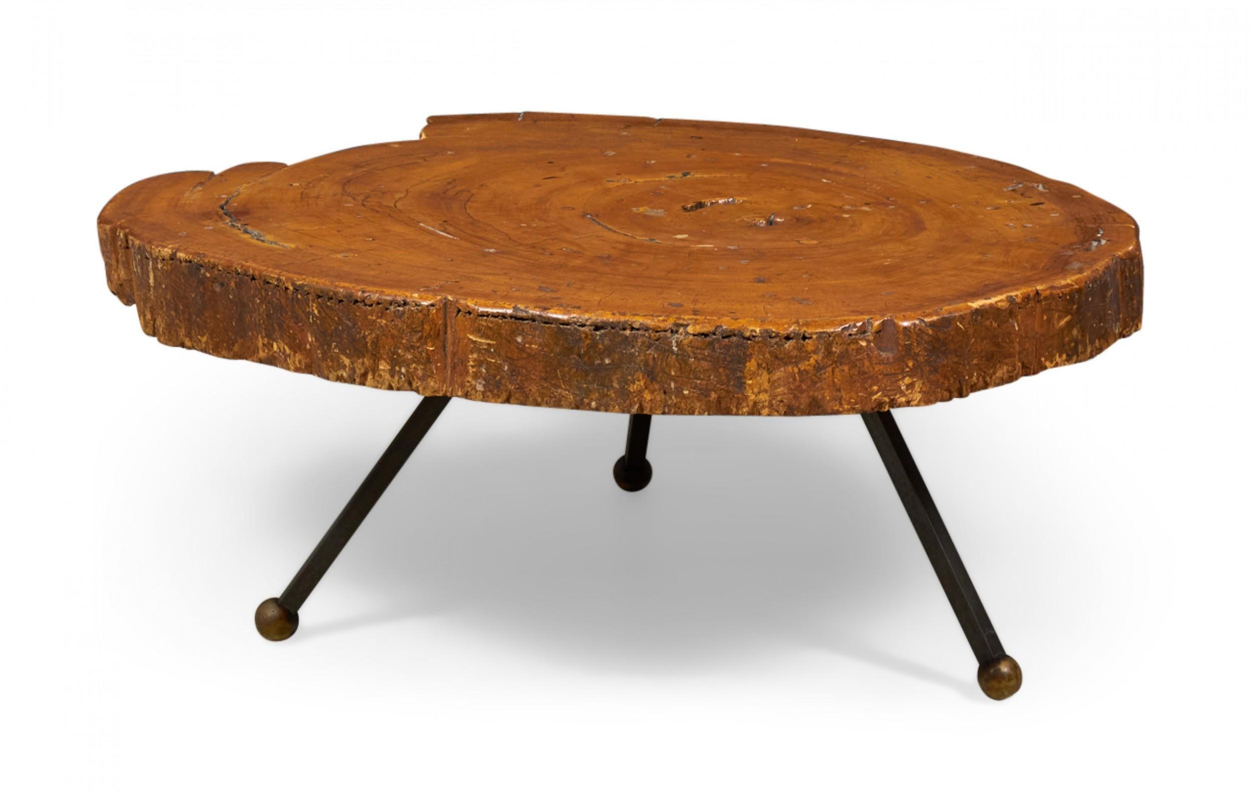 Mexican Modern coffee table with a sabino wood top with natural free edge supported on three angled wrought iron legs ending in bronze ball feet.
