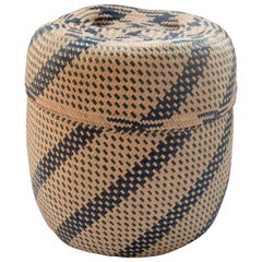 Mexican Natural Fiber Basket Made in Oaxaca Rustic Geometric Blue & Green Design