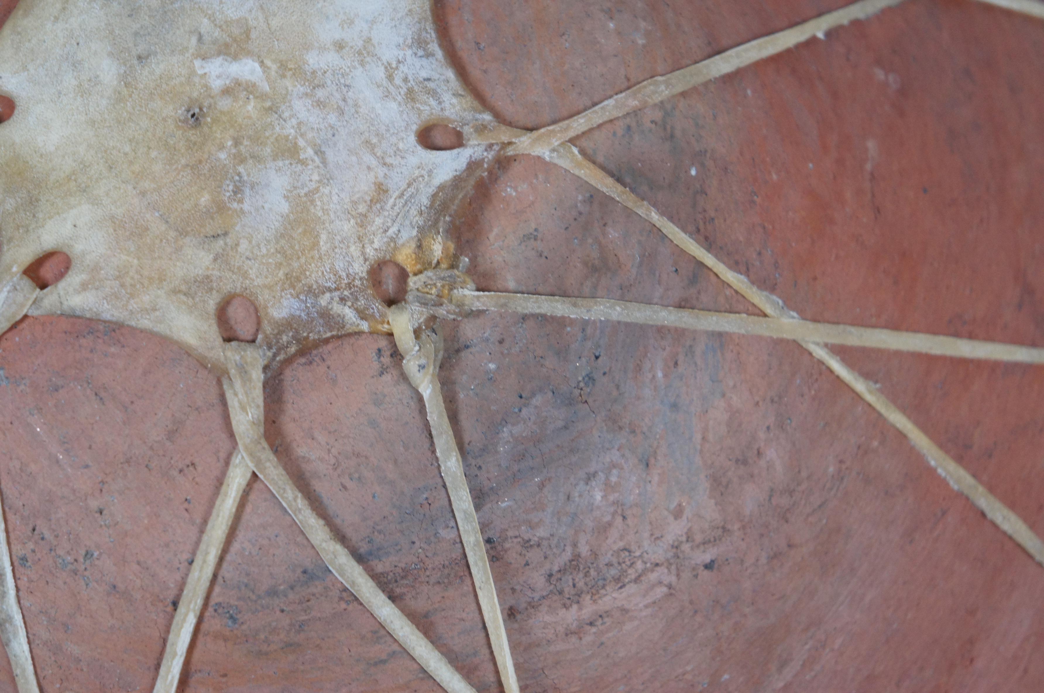 Olla messicana di terracotta Tarahumara con legatura in pelle, brocca per acqua da 16