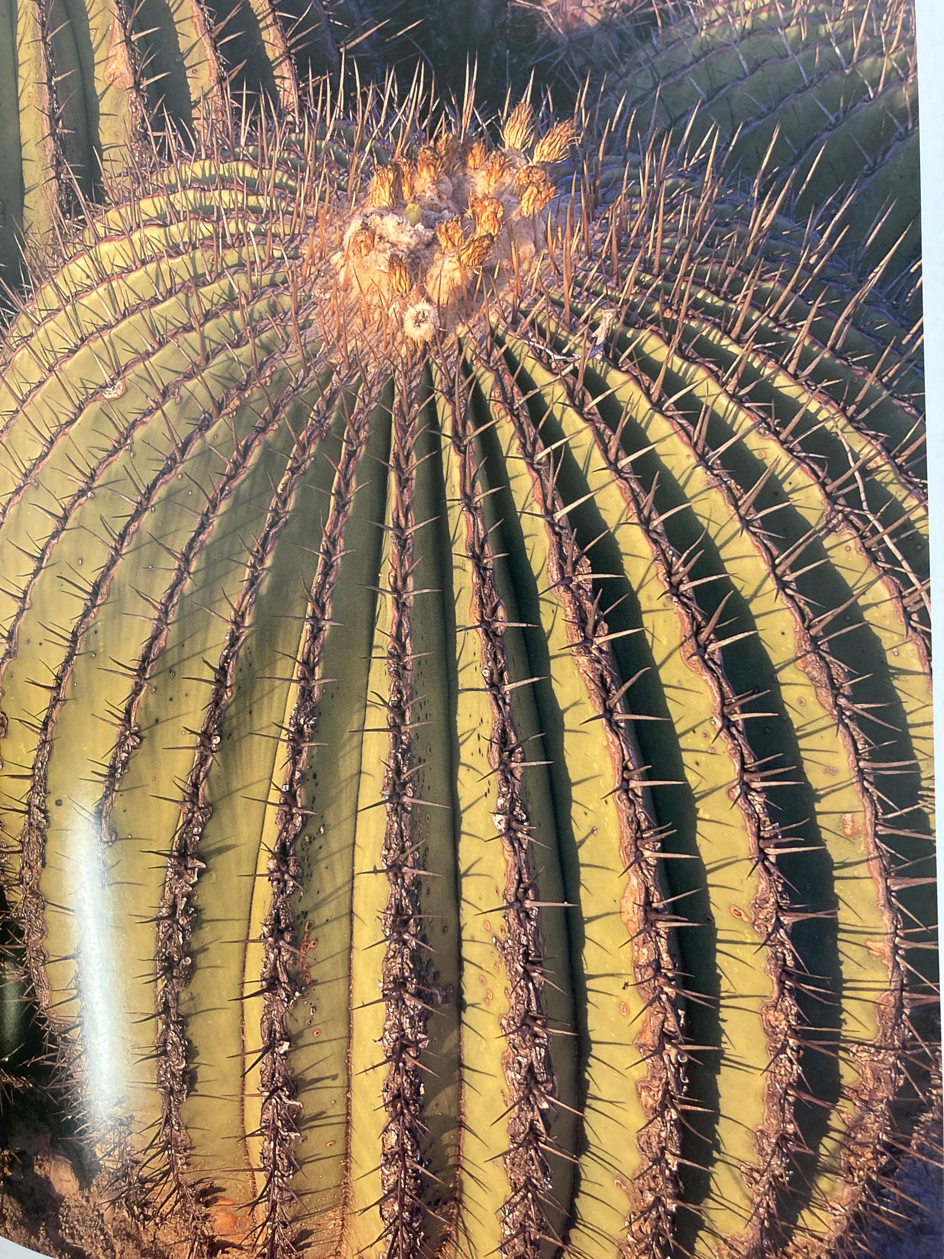 Mexico Natural by Antonio Vizcaino Hardcover Book 3