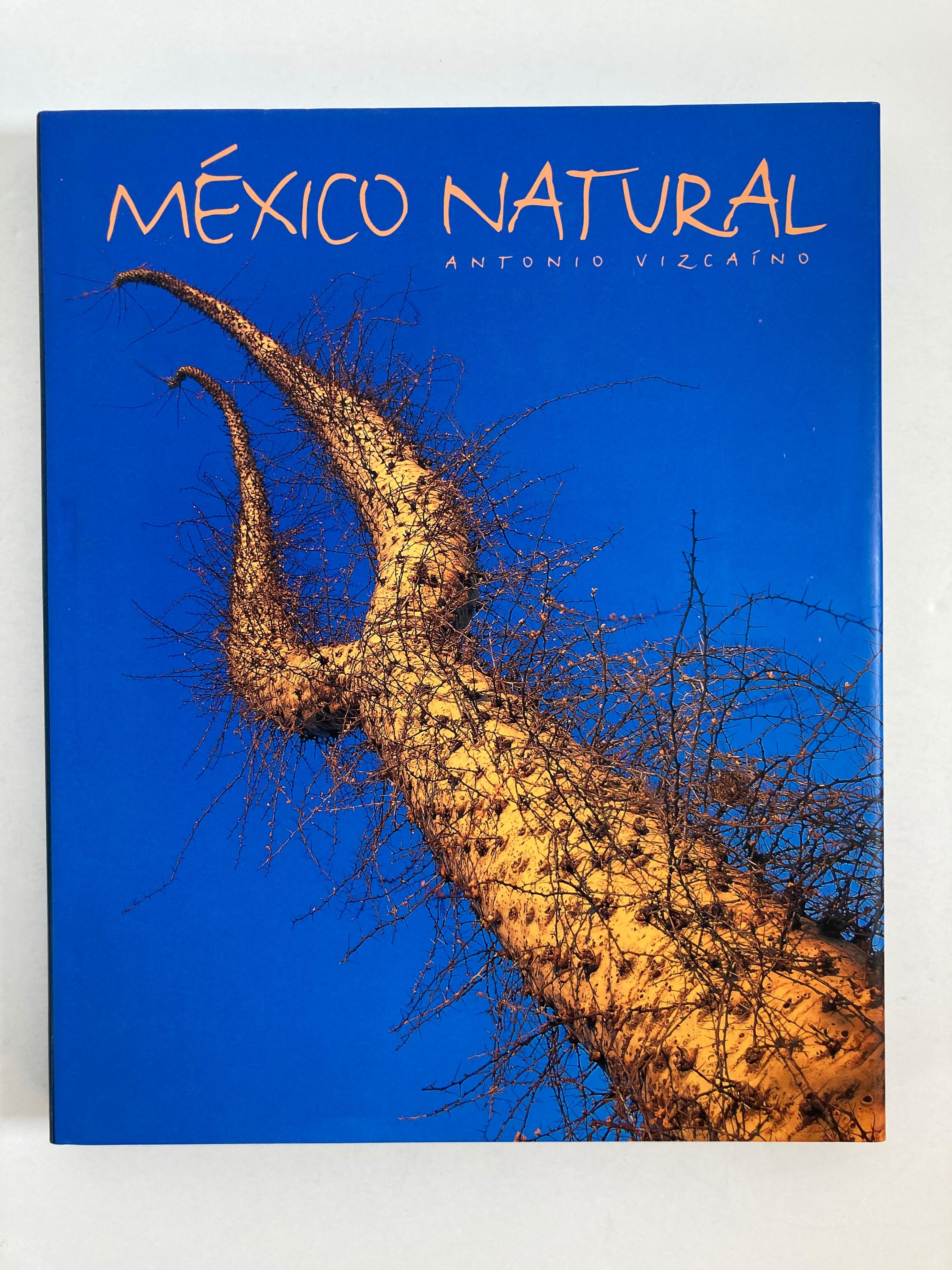 Antonio Vizcaino - Mexico Natural/
Fabulous photographies in Mexico by Antonio Vizcaino (Photographer)
Landscape photography is the link between nature and our emotions : Antonio Vizcaíno.
Antonio Vizcaino, was a mexican landscape photographer,