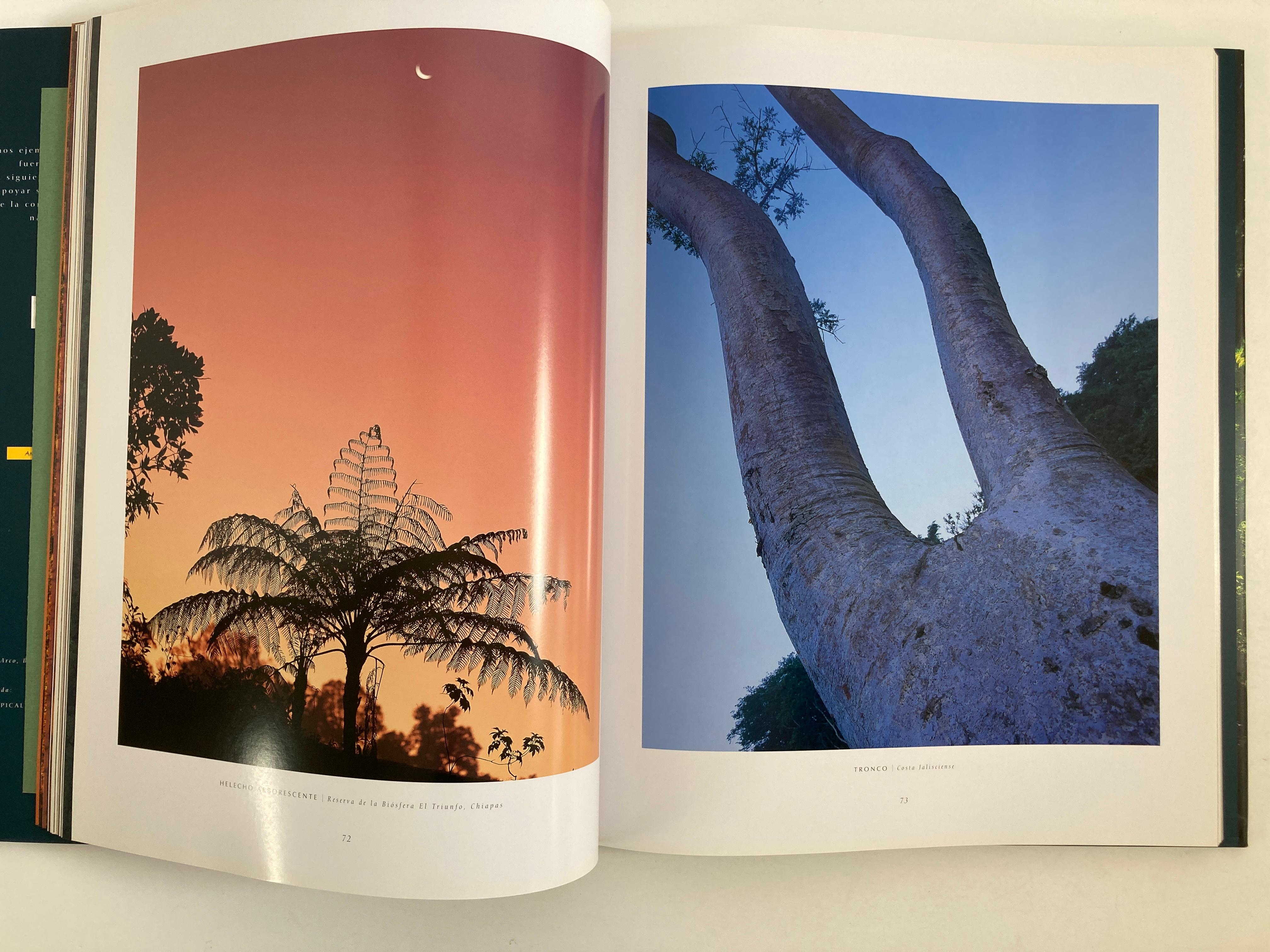 Paper Mexico Natural by Antonio Vizcaino Hardcover Book