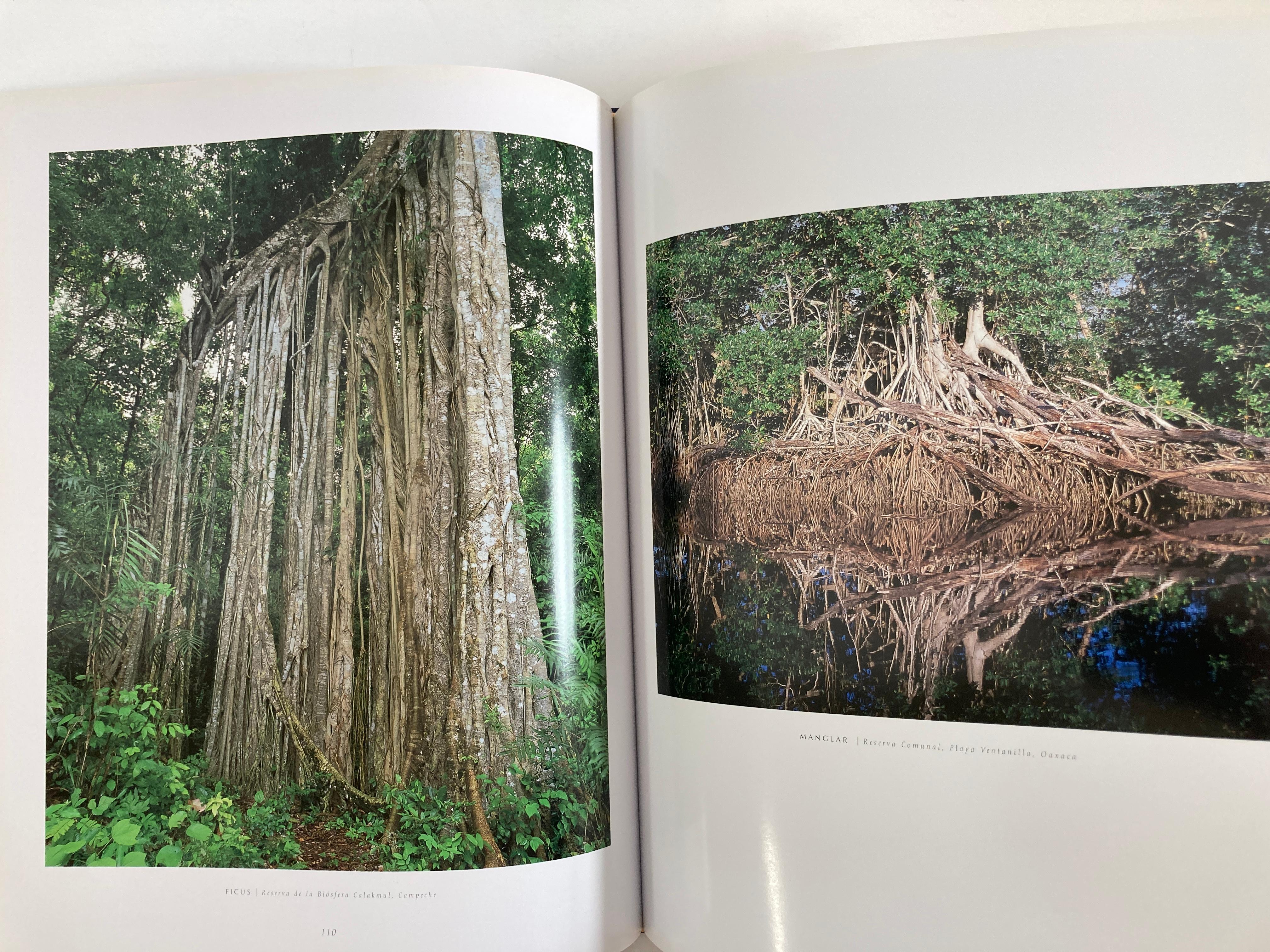 Mexico Natural by Antonio Vizcaino Hardcover Book 1