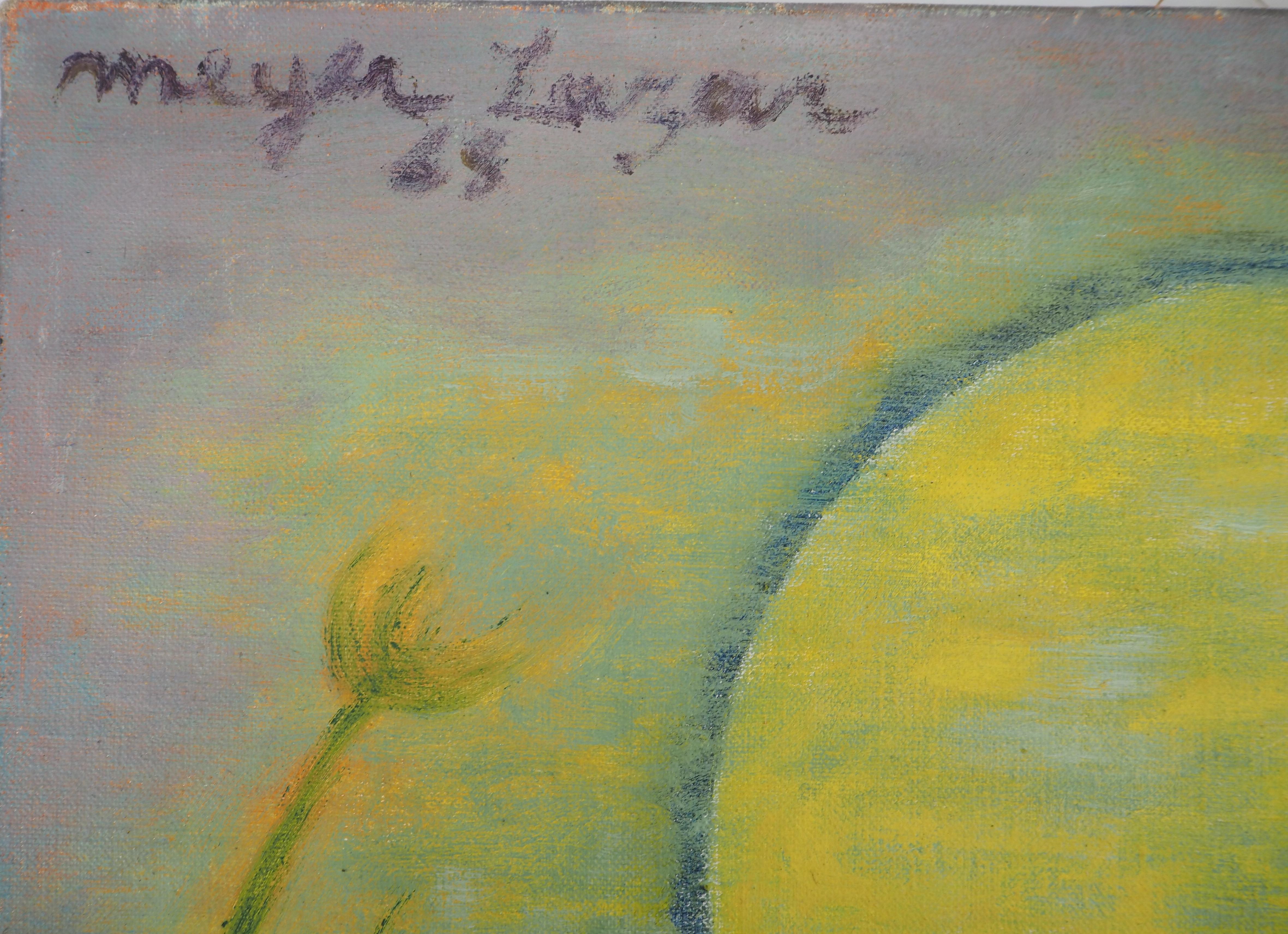 Israel : Sunset on the Lake of Galilee - Original Oil on Canvas, Handsigned - Painting by Meyer LAZAR
