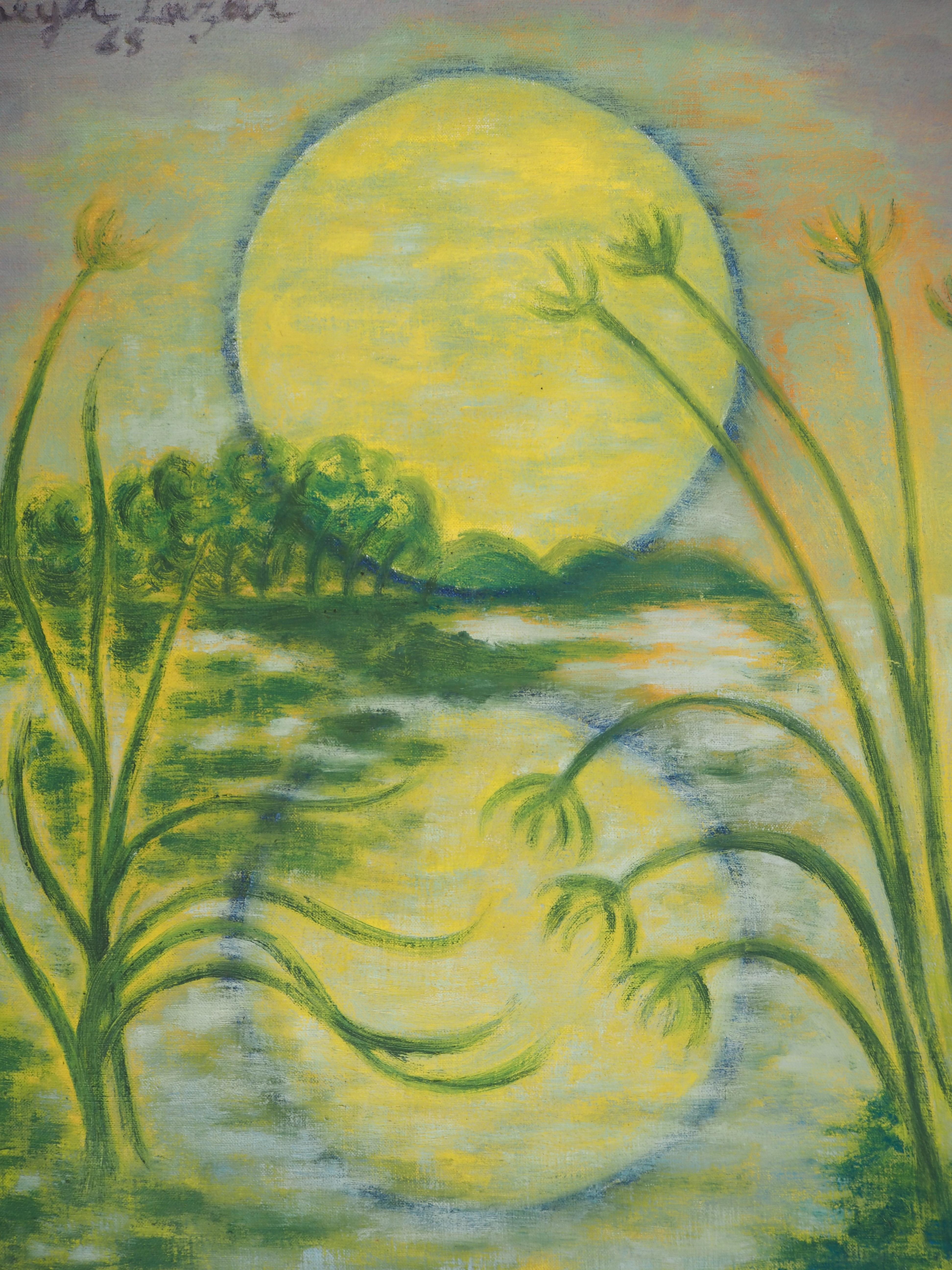 Israel : Sunset on the Lake of Galilee - Original Oil on Canvas, Handsigned - Brown Landscape Painting by Meyer LAZAR