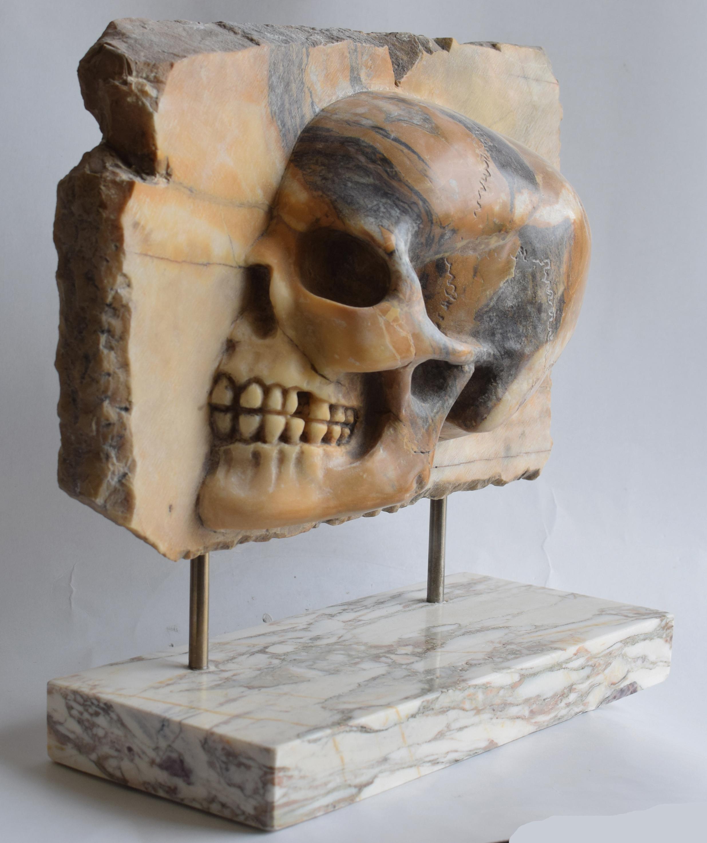Calavera de mármol, calavera de mármol, memento de mármol, vanitas de mármol, busto vanitas, mármol blanco de Carrara, escultura clásica, escultura antigua, busto antiguo, made in Italy
Escultura en mármol amarillo brocado de Siena de una media