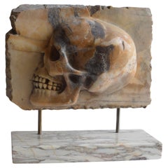 demi-crâne humain sculpté en marbre jaune de Sienne - memento - made in Italy