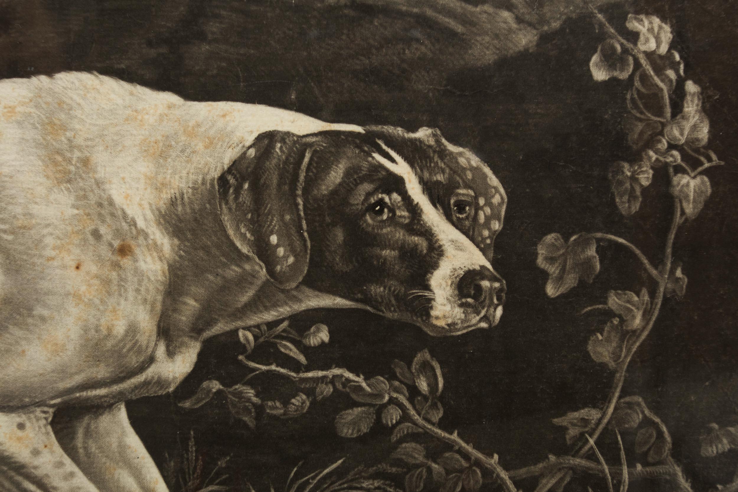 British Mezzotint Engraving of Pointer 