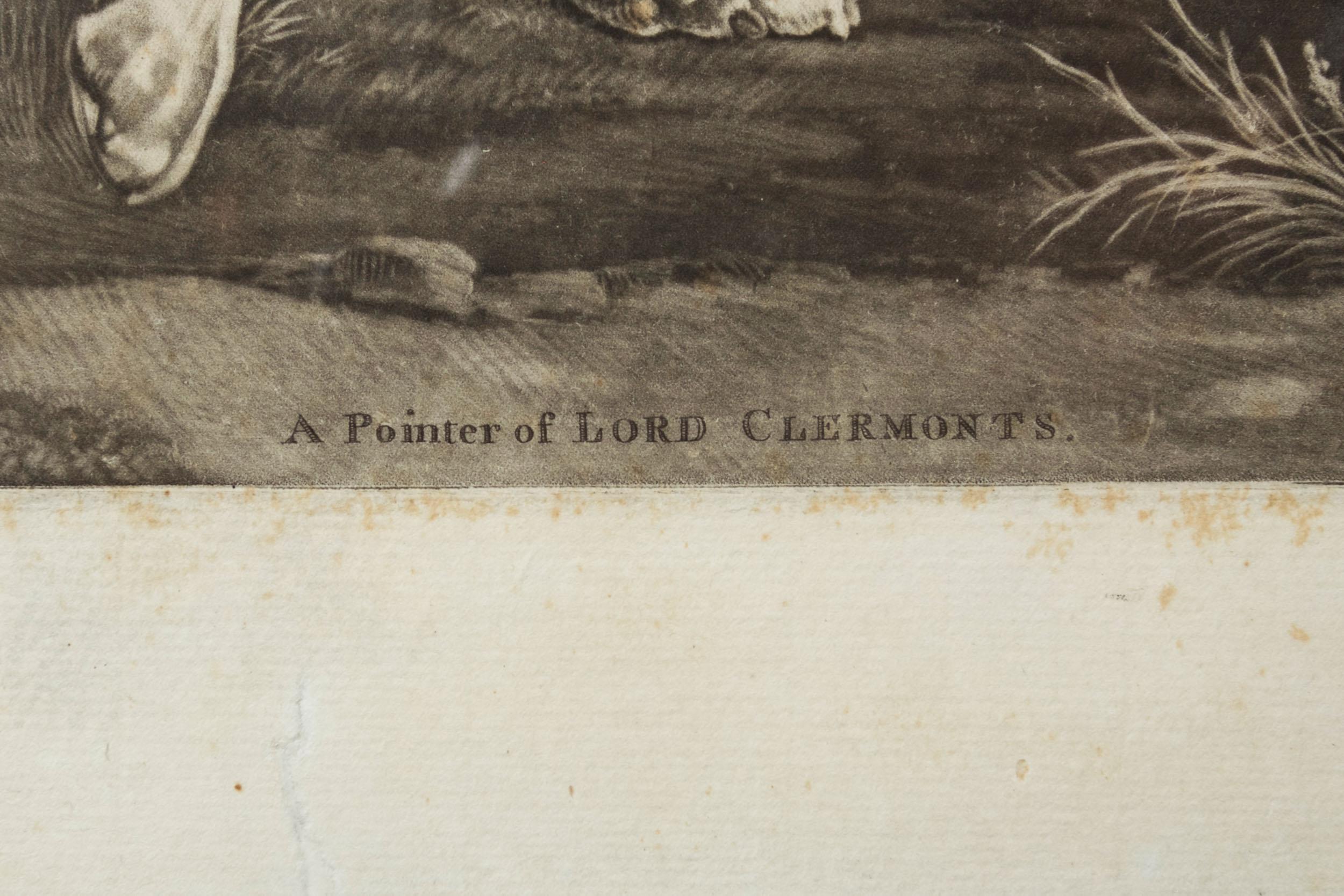 18th Century and Earlier Mezzotint Engraving of Pointer 
