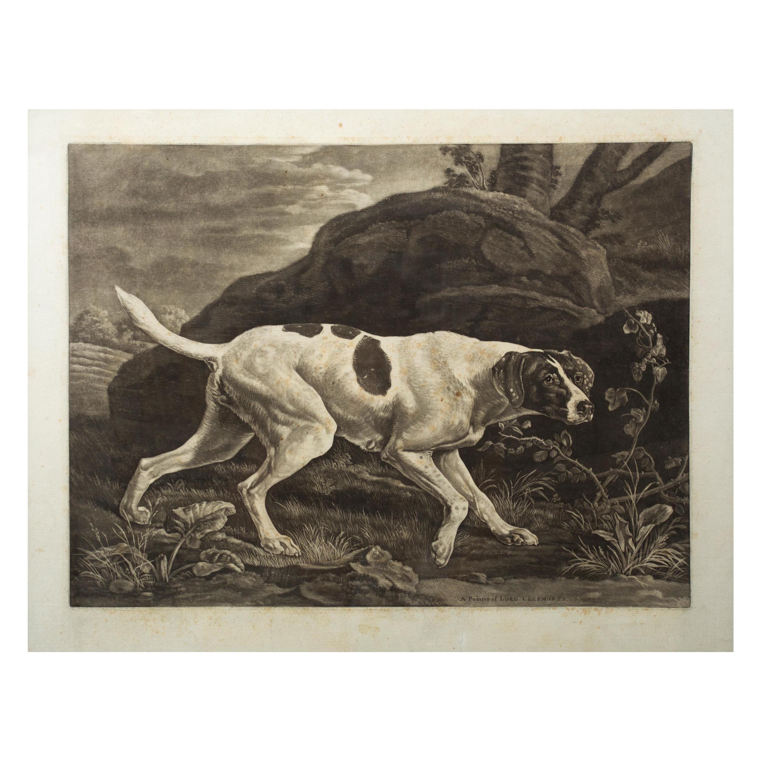A rare mezzotint engraving on laid paper executed by Benjamin Green after the oil painting by George Stubbs and published in London in 1772. It depicts Phillis, the beloved pointer dog belonging to William Henry Fortescue, the Earl of Clermont