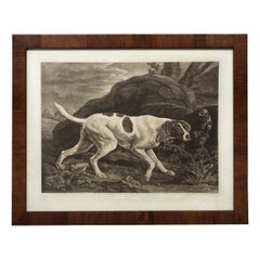 Mezzotint Engraving of Pointer "Phillis" by Benjamin Green after George Stubbs