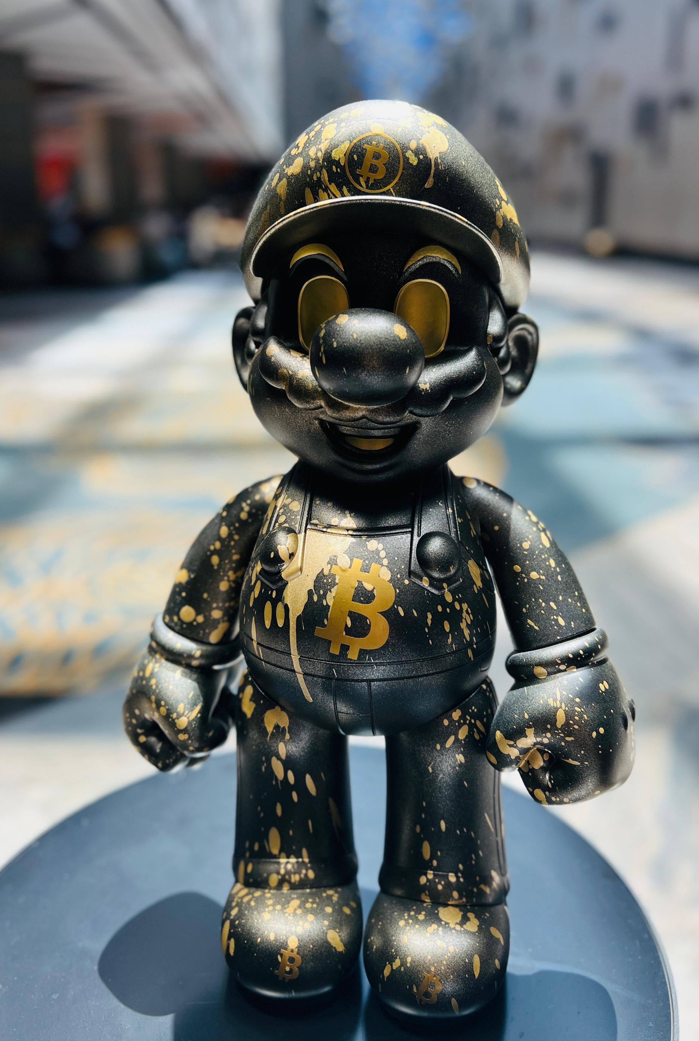 Young Nancy artist born in 1991, MHS, from an early age, had a strong taste for artistic creation. Self-taught from the Street Art culture, he was able to develop his artistic skills on his own. He first expressed his art through graffiti, tags and