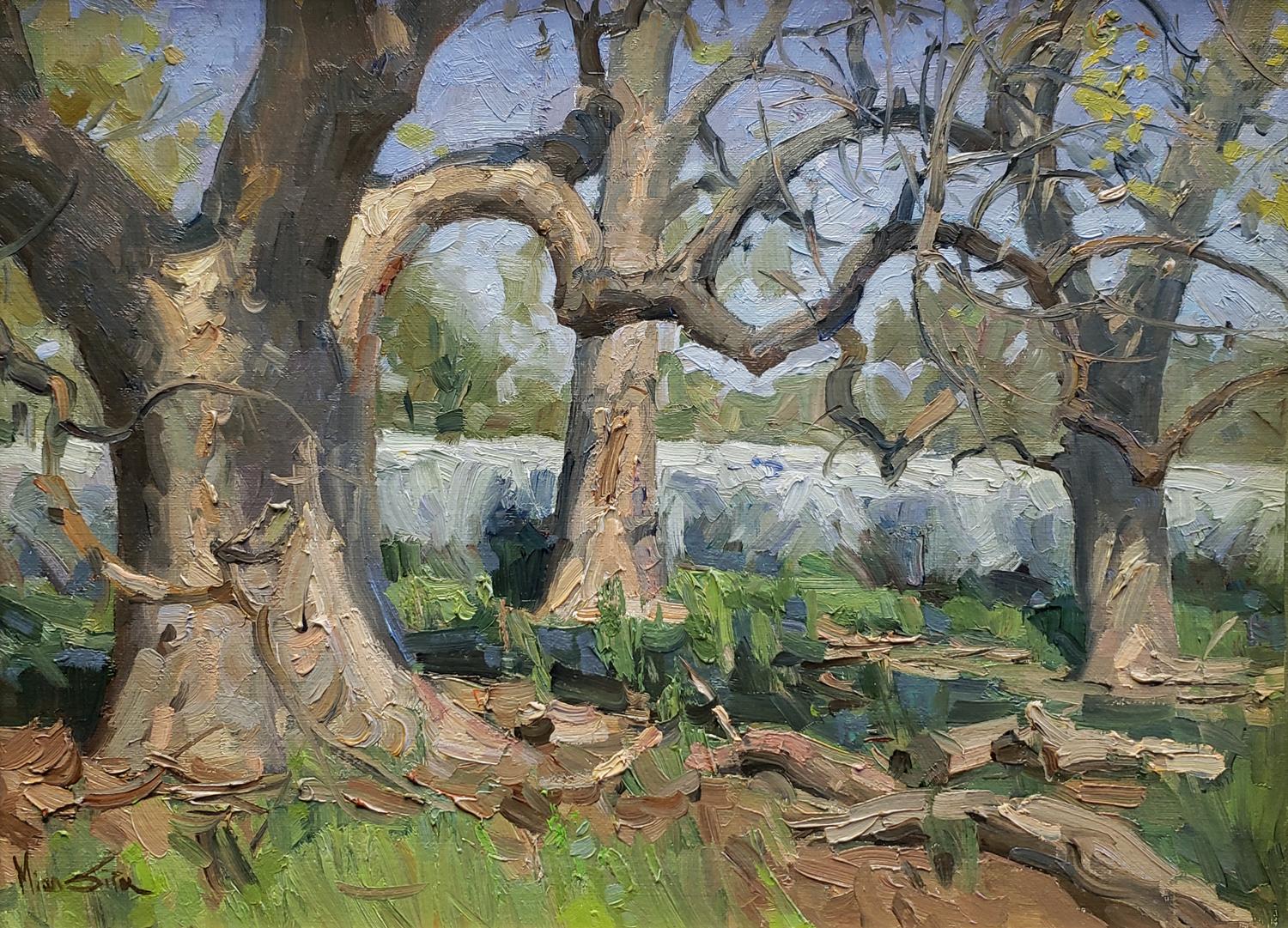 Chênes d'un ranch de Tejon - Impressionnisme Painting par Mian Situ